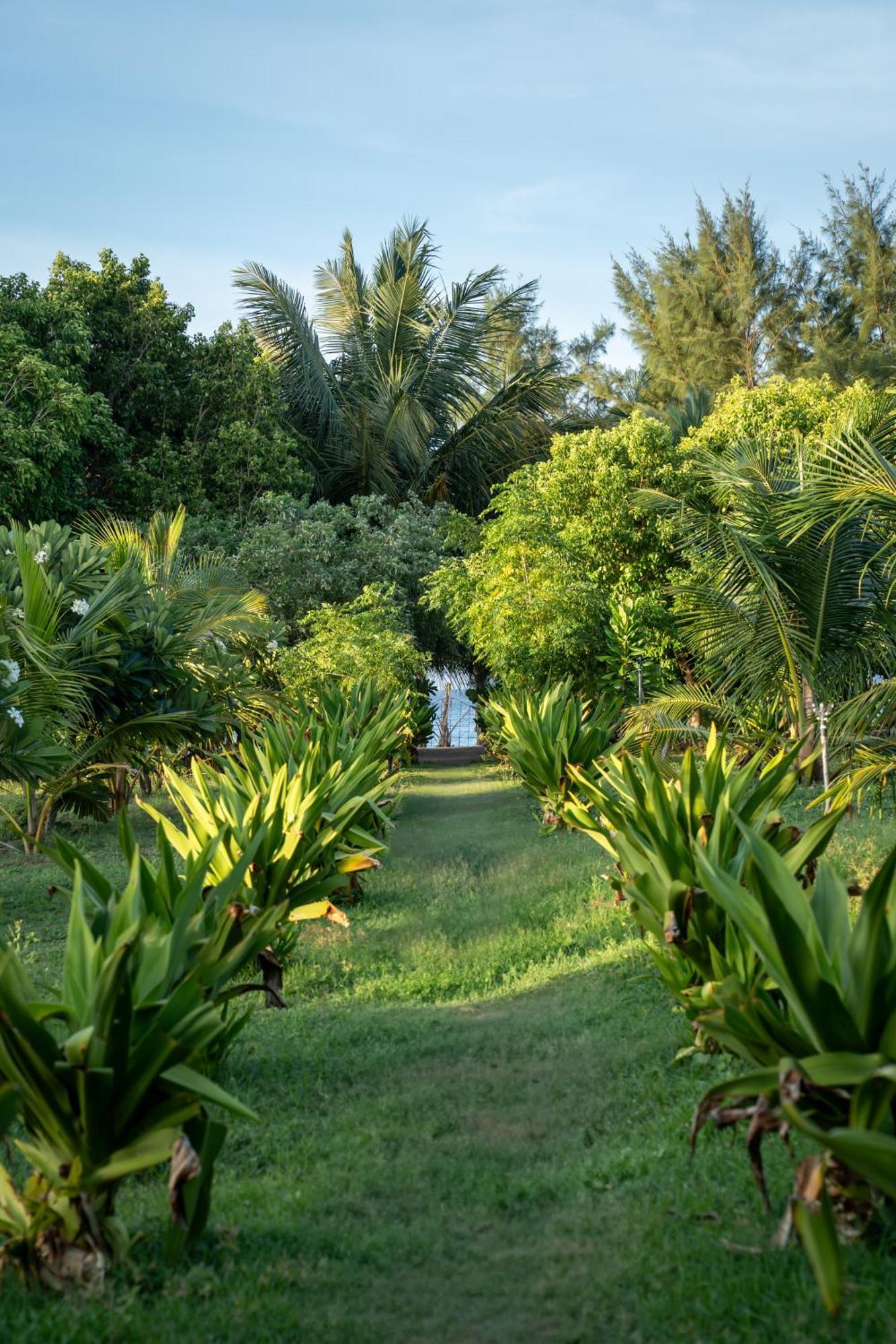 Amanta Beach นิลาเวลี ภายนอก รูปภาพ