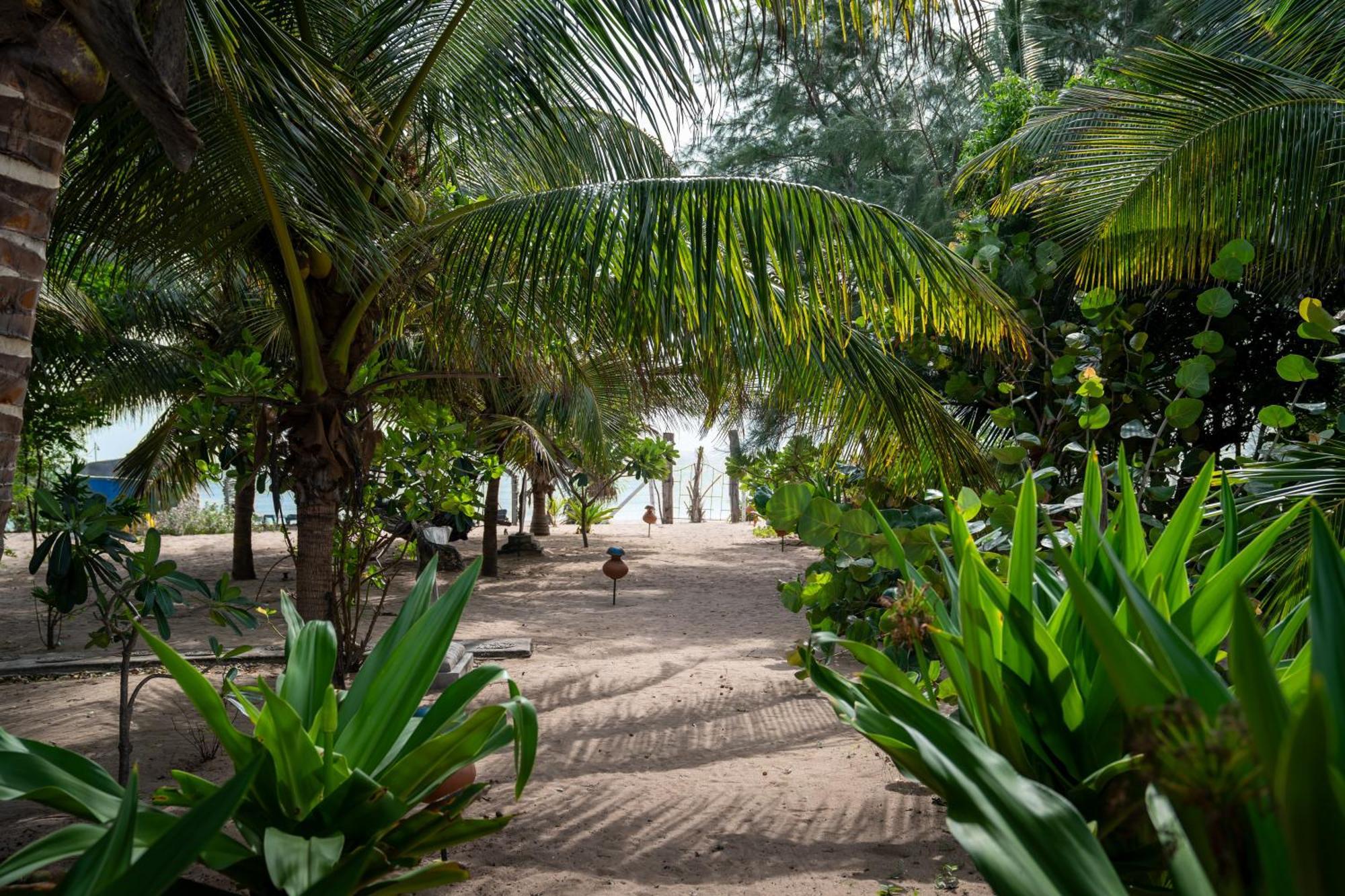 Amanta Beach นิลาเวลี ภายนอก รูปภาพ